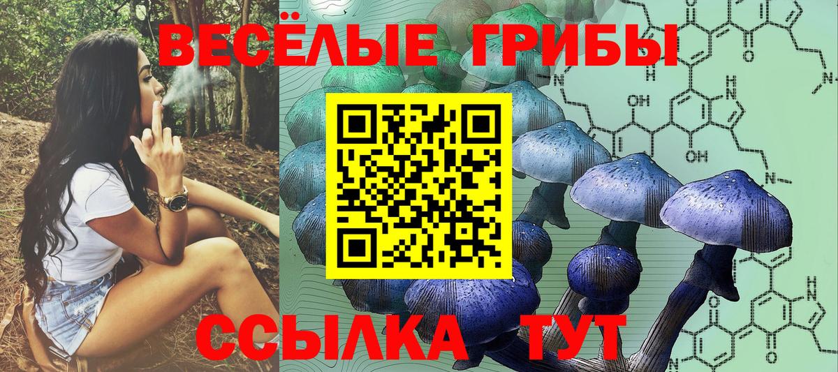 Псилоцибиновые грибы Psilocybine cubensis  Галлюциногенные грибы Psilocybe  Верхняя Салда  Вход с VPN 